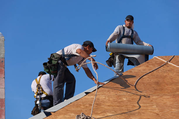Best Roof Gutter Cleaning  in Concord, VA